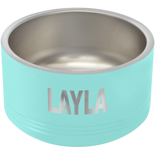 Polar Camel 18 oz  Small Teal Pet Bowl